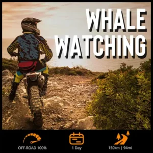 Whale Watching Trail Single Track 2024