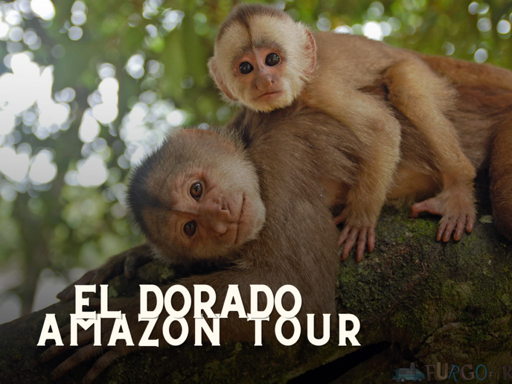  Moto Destination Ecuador: Your Ultimate Adventure Awaits!