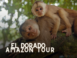  Moto Destination Ecuador: Your Ultimate Adventure Awaits!